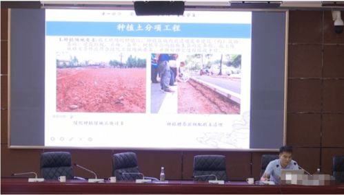 提升专业技能，筑牢质量防线——我市举办绿化工程质量检测培训