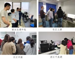 AI技术赋能，水生态智能监测服务迈向新高度